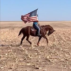 Meet your Posher, Katrina